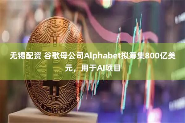 无锡配资 谷歌母公司Alphabet拟筹集800亿美元，用于AI项目